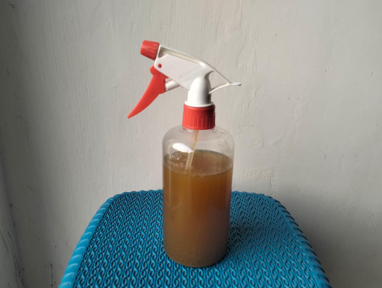 Hasil Produk Pupuk Organik Cair (POC)